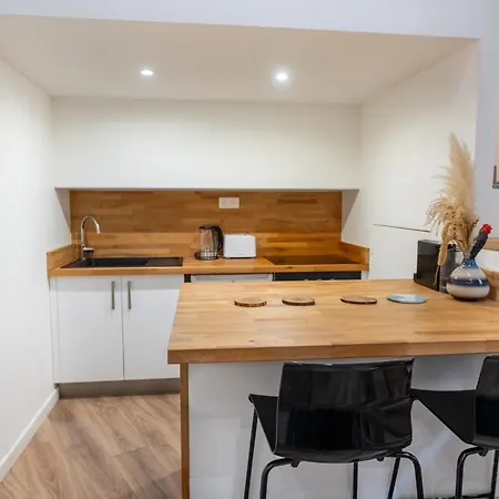 Sous Les Platanes - Beau T3 Beaux-arts