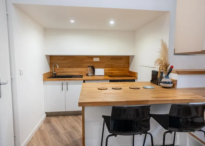 Sous Les Platanes - Beau T3 Beaux-arts